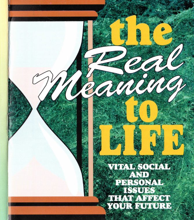 Cover of The Real Meaning to Life